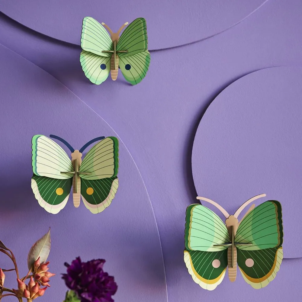 DIY 3D Wall Decoration - Fern Striped Butterflies, set of 3