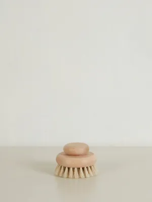 Large Body Brush (Beechwood)